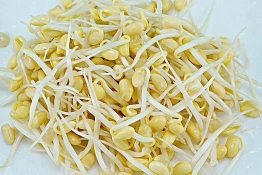 新鲜黄豆芽：500g
