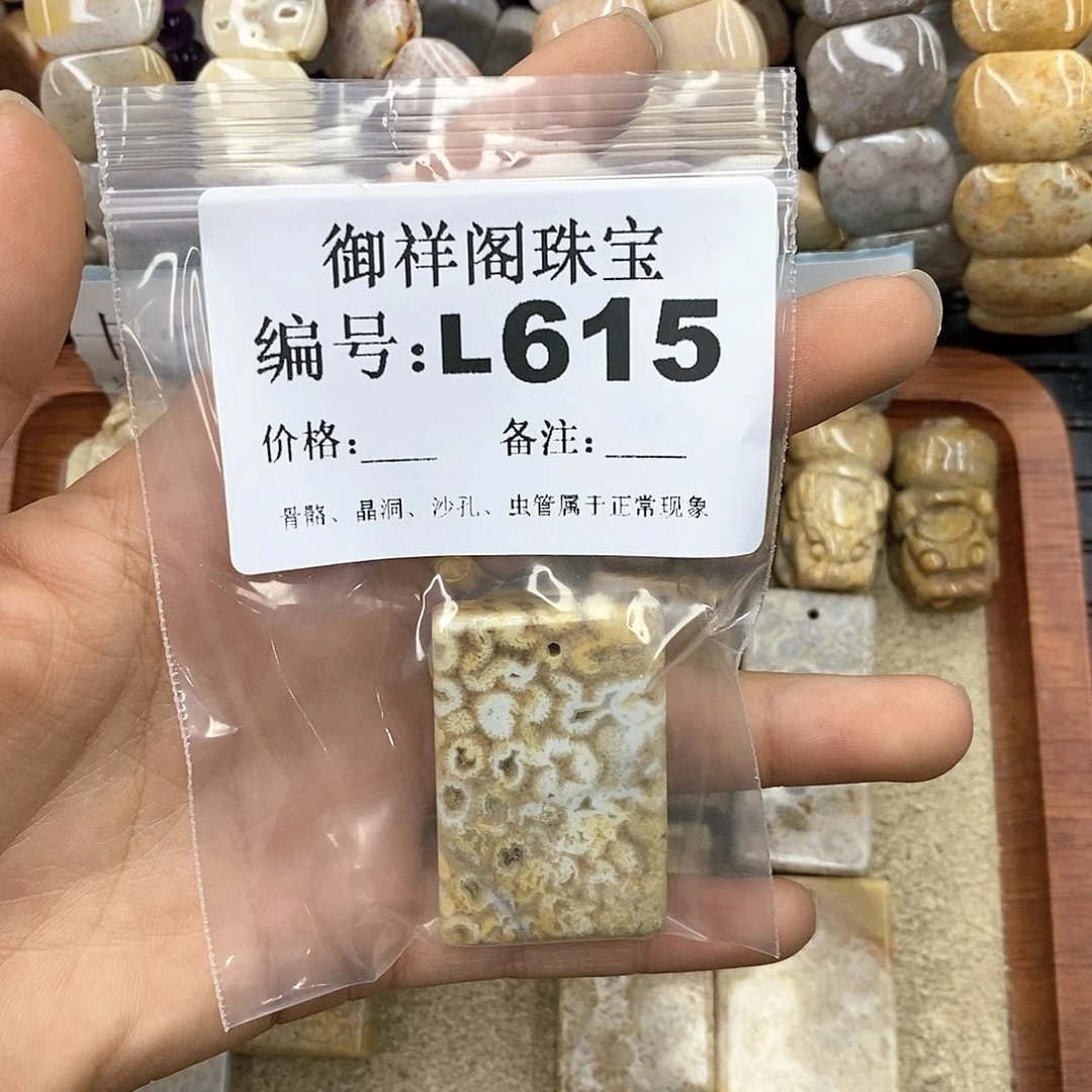 硅化珊瑚（珊瑚玉）L未镶嵌?****゛