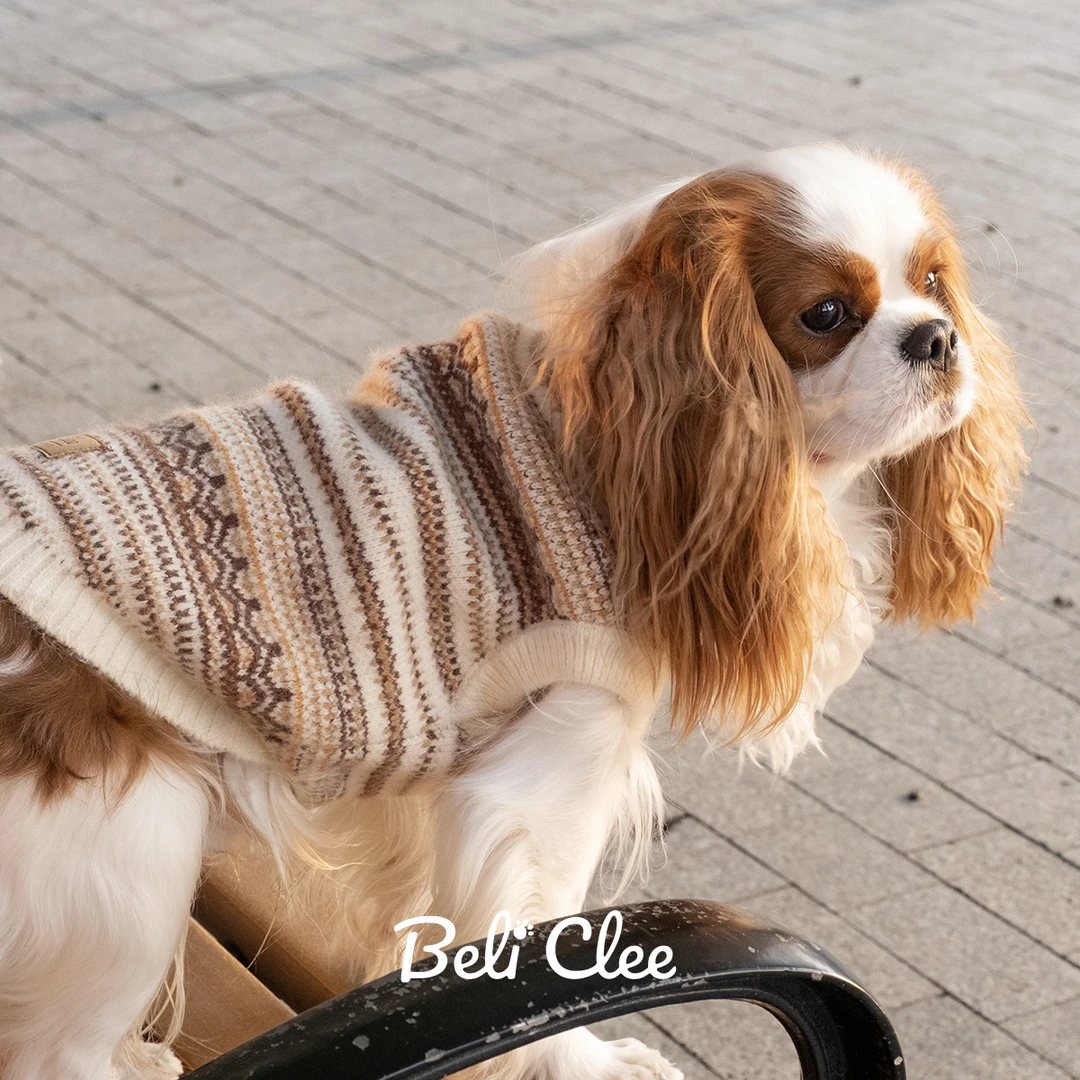 BeliClee棕色狗泰迪查理王美卡毛衣复古英伦南方冬耐穿抗起球静电