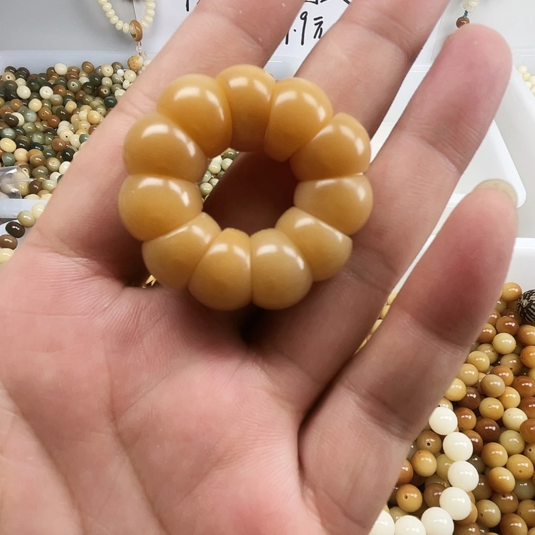 把件菩提根/象牙果