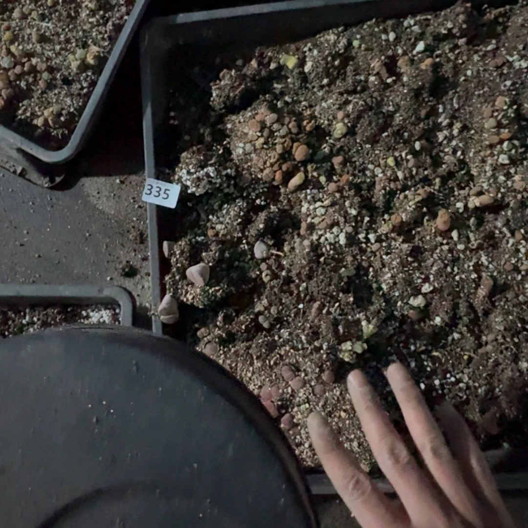 335。清框脱土发货