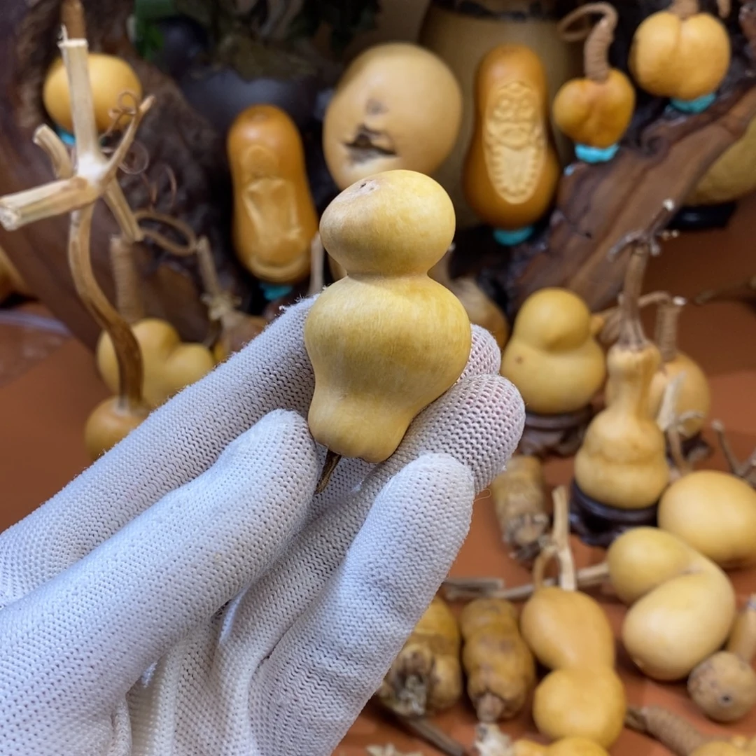 二***哥教练咯教练咯教练