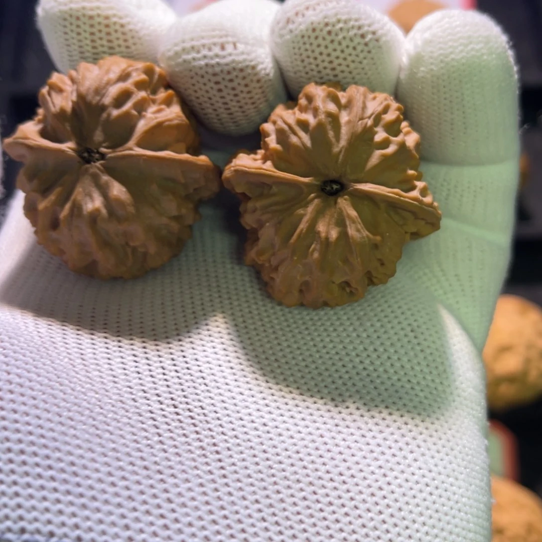 Y**O秦皇岛山地果全品—-71