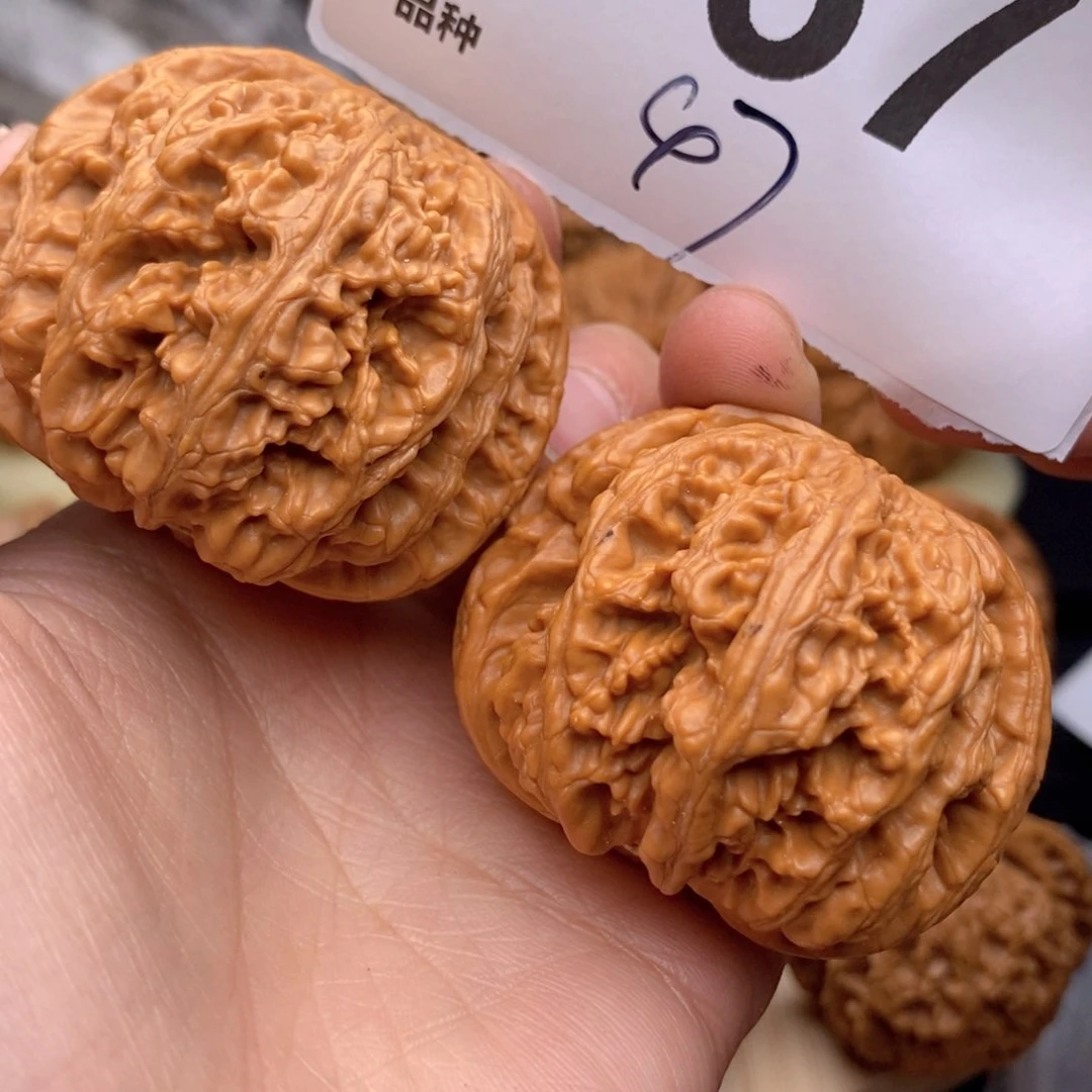 文玩核桃把件567号47粗筋