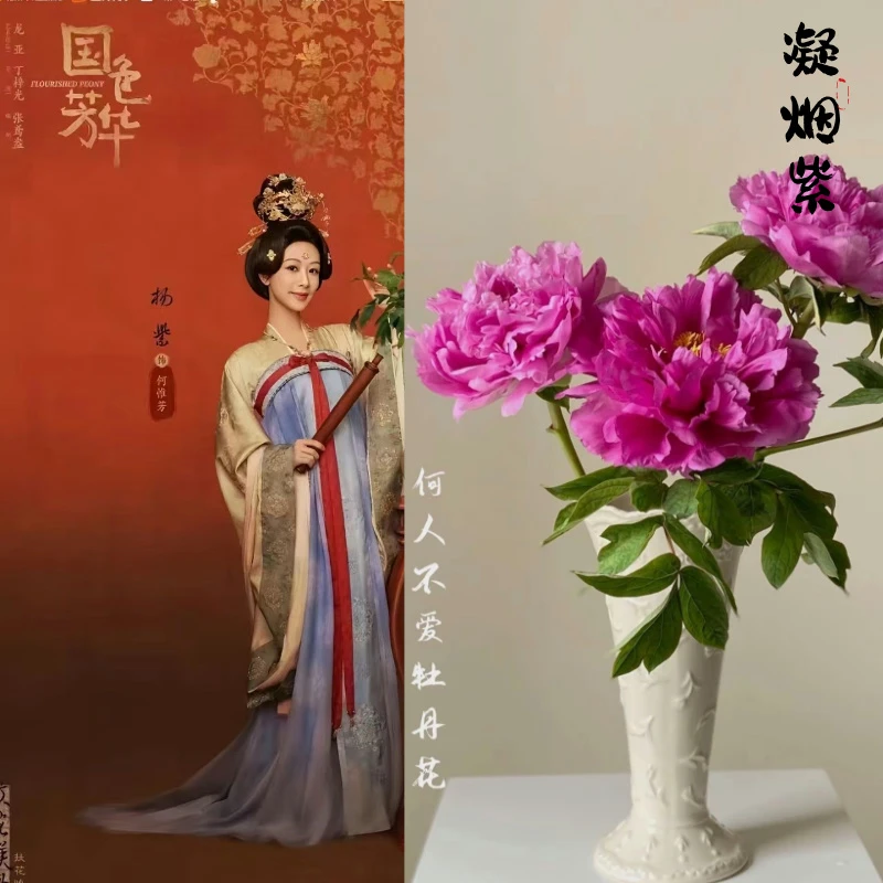 国色芳华 [凝烟紫-]5A-牡丹鲜切花菏泽基地直发 年宵花 牡丹鲜花