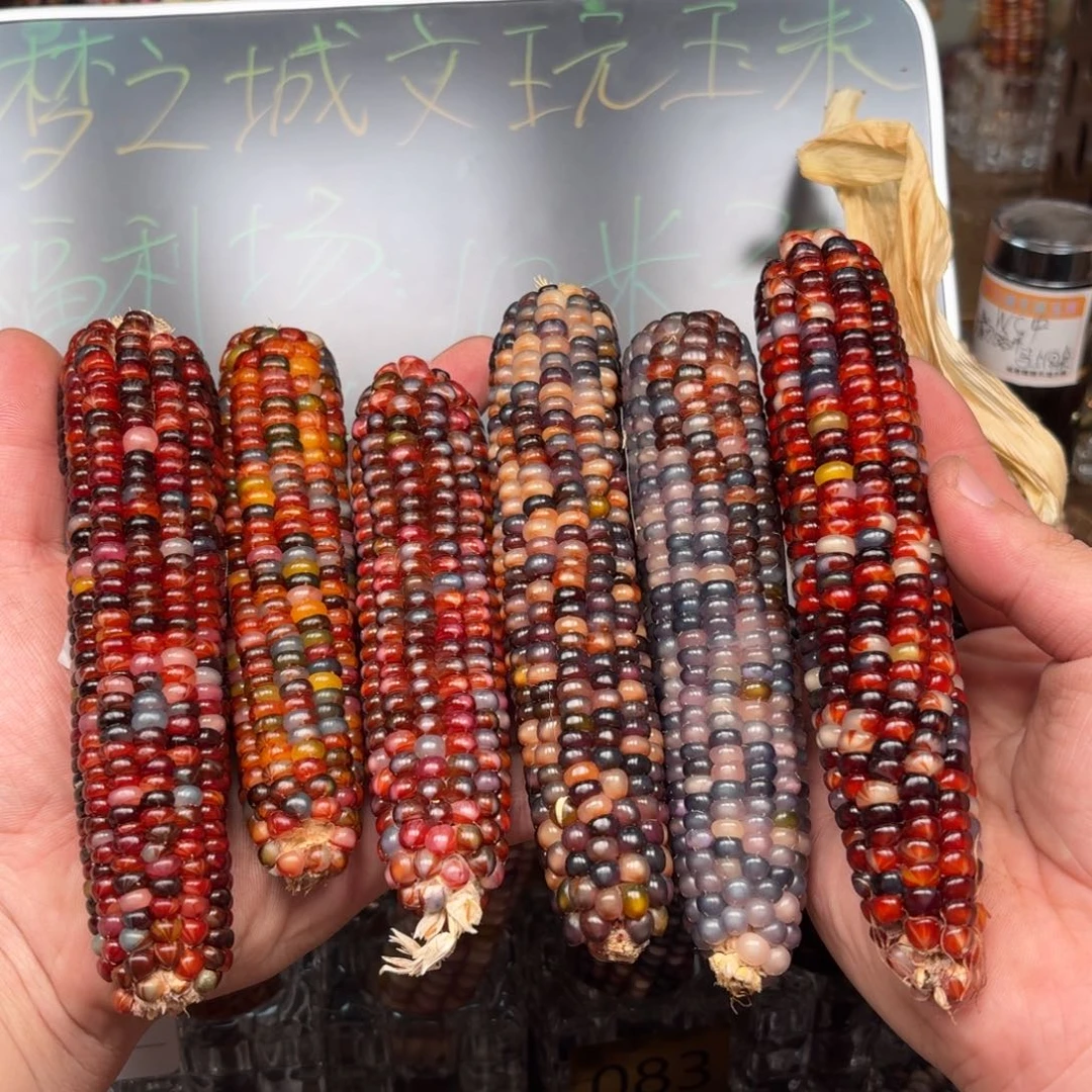 柏香籽/百香籽吊坠《***》