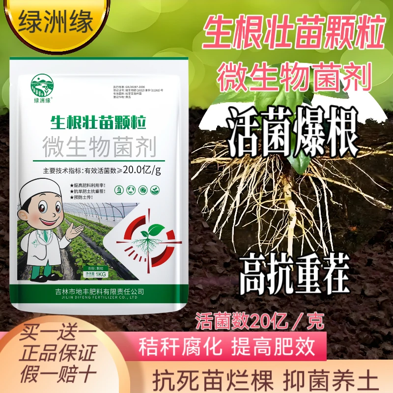 绿洲缘生根壮苗颗粒微生物菌剂20亿