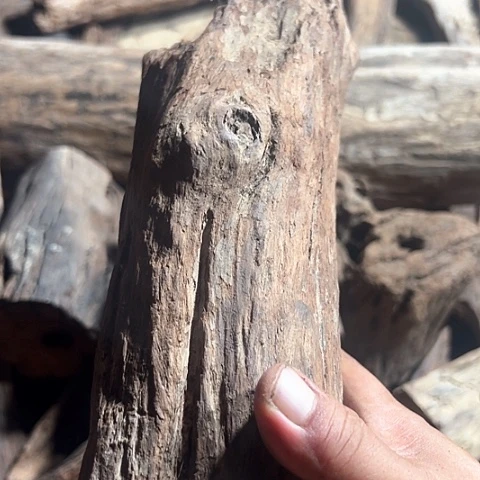 紫檀木类家具大**风