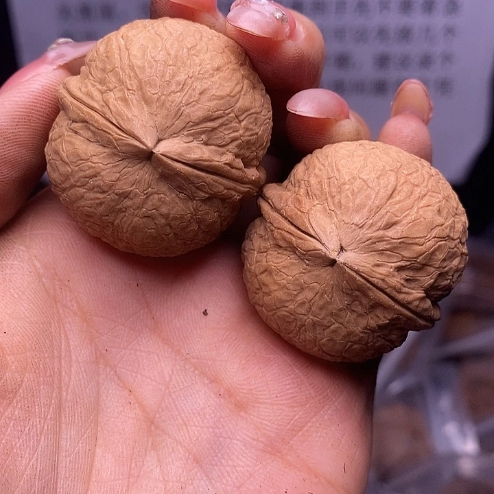 核桃云南野生铁核桃190号37mm