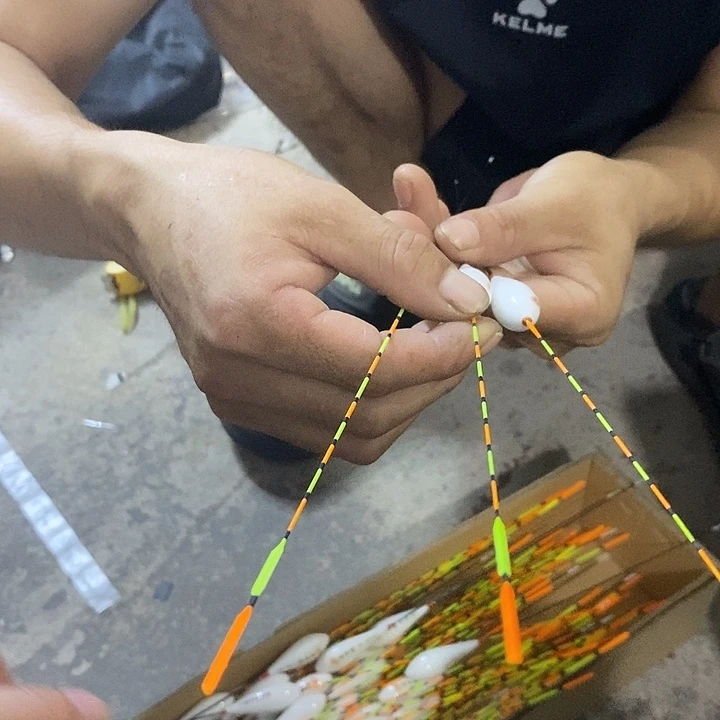 台北鸽子蛋123号一套