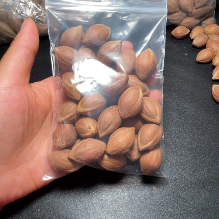 O****猪牙手串/手链我是
