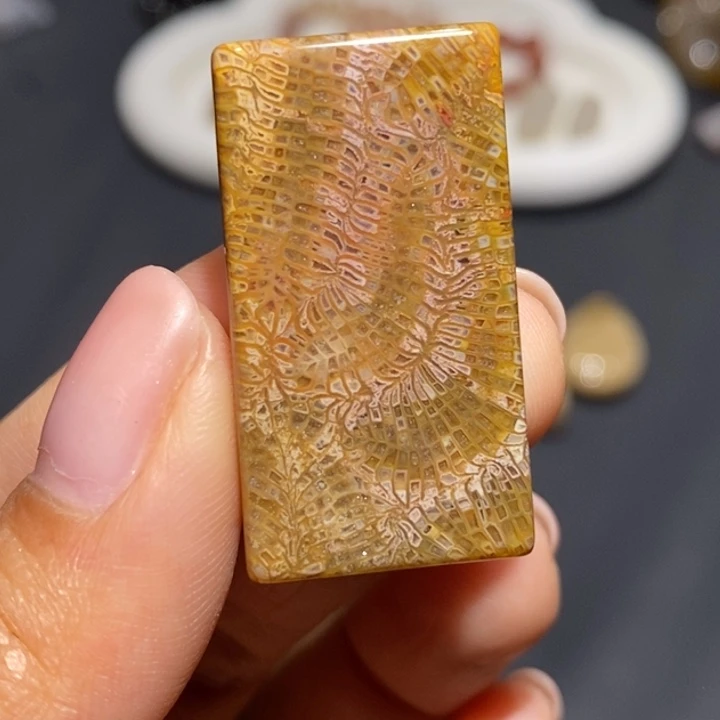 【闪购商品】未镶嵌珊瑚玉硅化玉