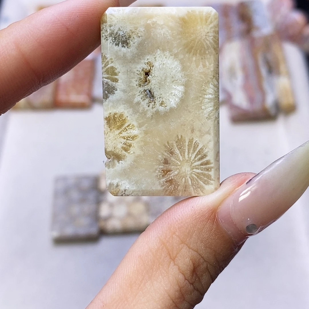 查罗石合金颈饰浩**彬