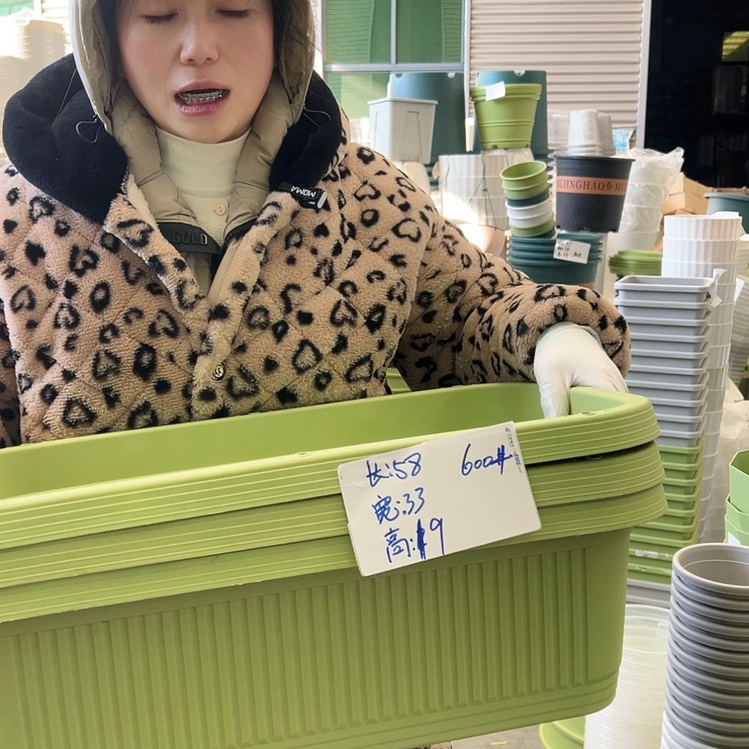 菜盆600#果绿3个无托