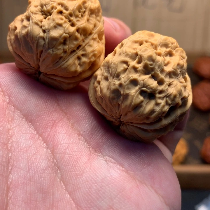 文玩核桃把件35五毒蟾