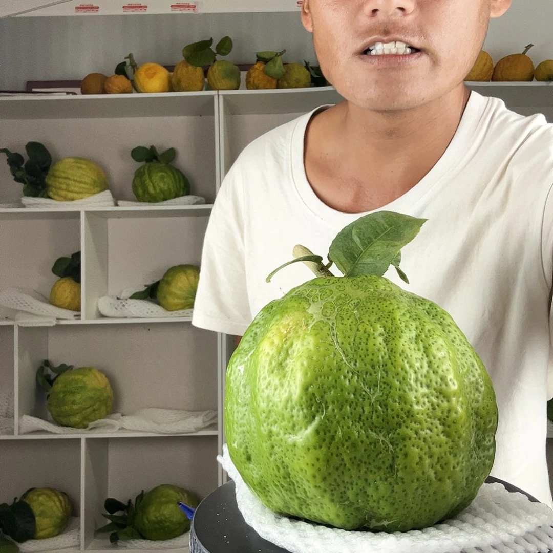 用***8香水柠檬云南高山大香橼