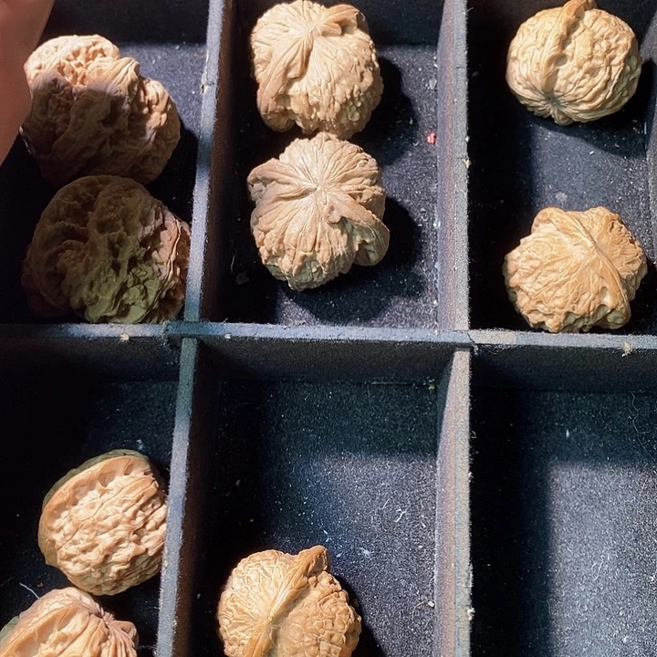 ****u40加血麒麟拍完1来
