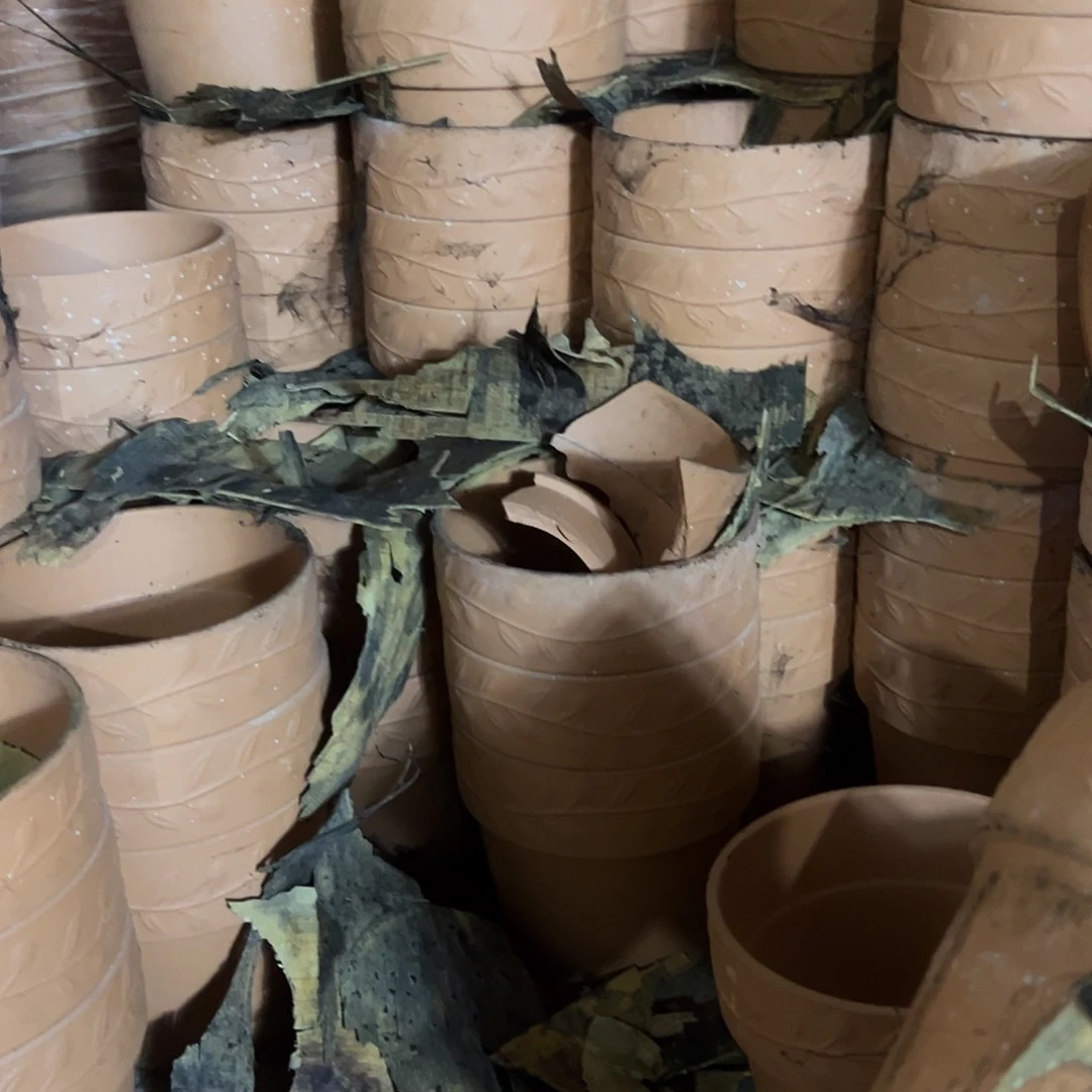 泡水橄榄16口14高1个【泡水瑕疵无售后】