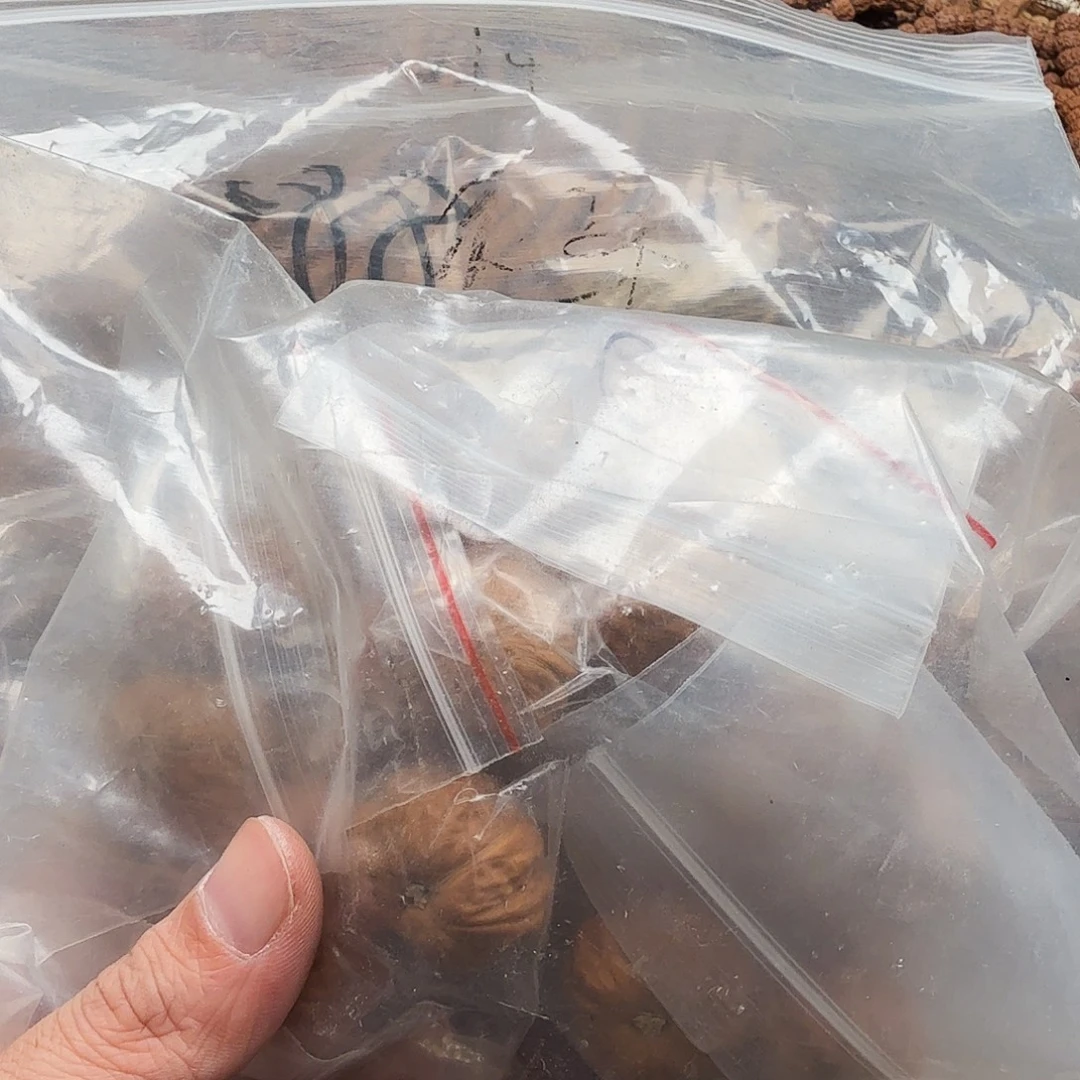 吊坠金刚菩提6号。