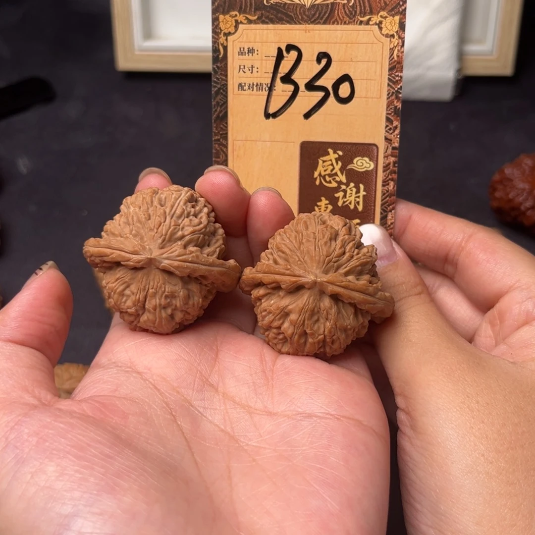 核桃b30白狮子11111