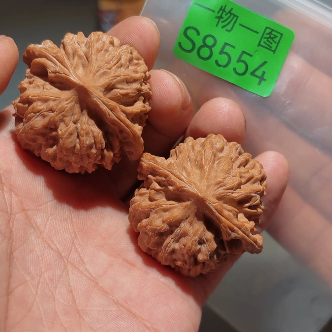 文玩核桃把件红珊瑚