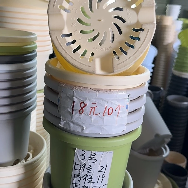 微瑕3#口径21无托果绿10个