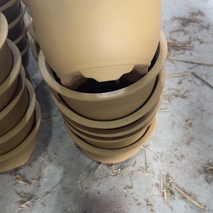 逃***球19×12六只