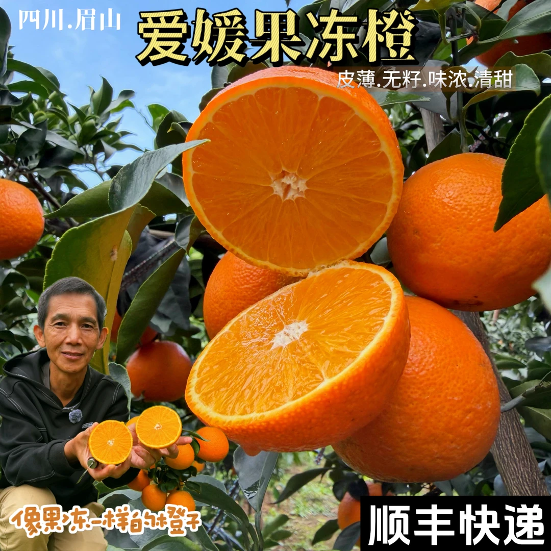 【顺丰包邮】四川爱媛果冻橙 皮薄无籽肉嫩爆汁新鲜水果【萝卜大叔】