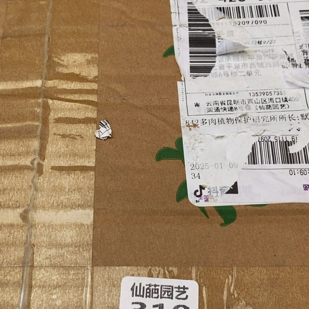 310的我是真的不知道你的