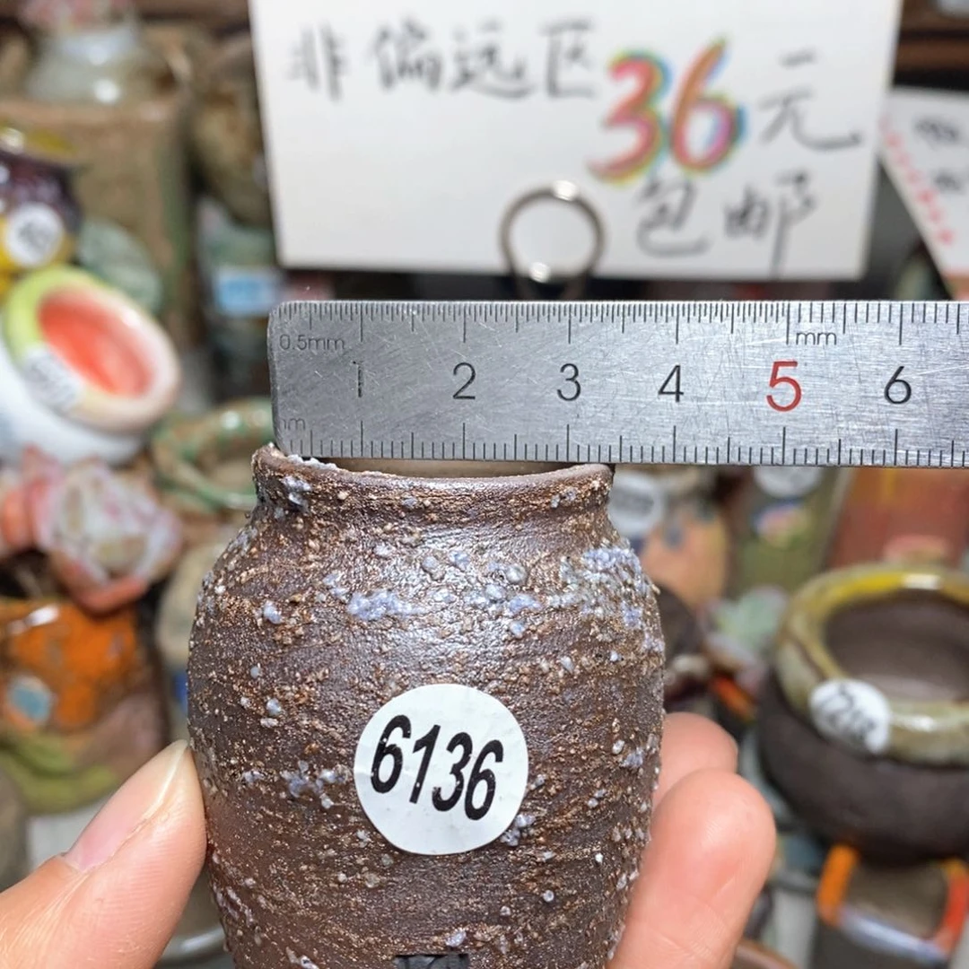 花盆拍5送一个小礼物