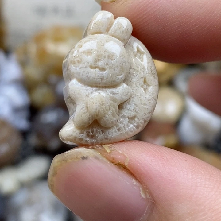 颈饰未镶嵌硅化珊瑚（珊瑚玉）小
