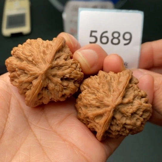 把件文玩核桃39野牛5689