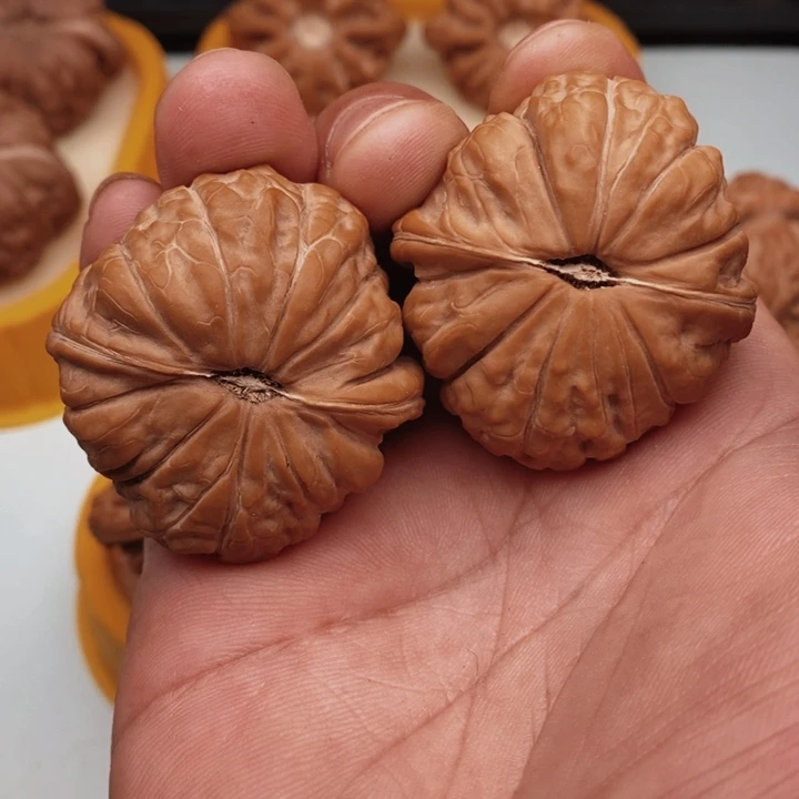 核桃核**弟你好吗我好想你啊我好