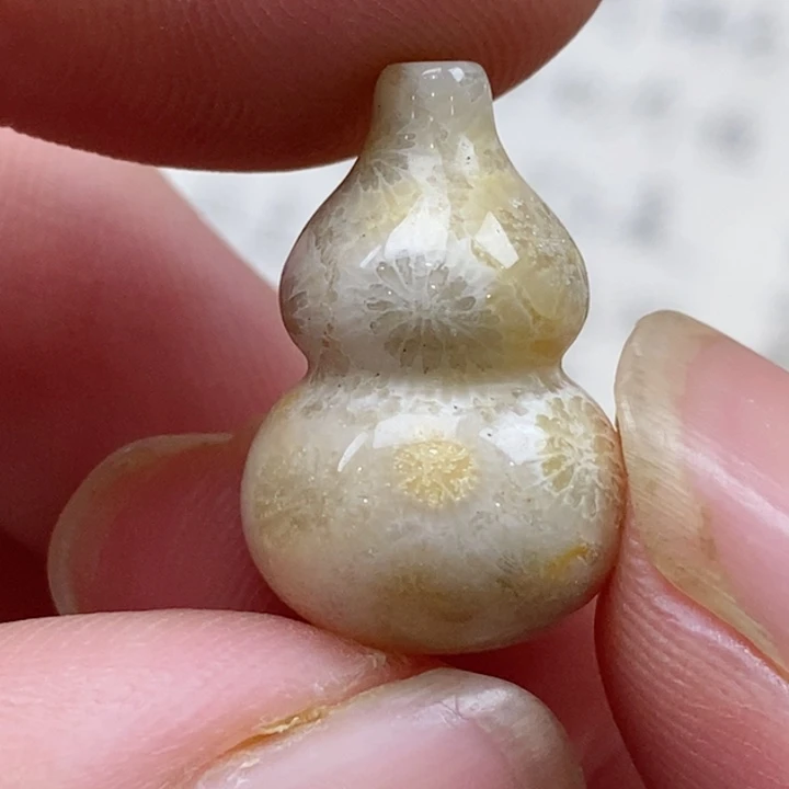 颈饰未镶嵌硅化珊瑚（珊瑚玉）没打孔 小