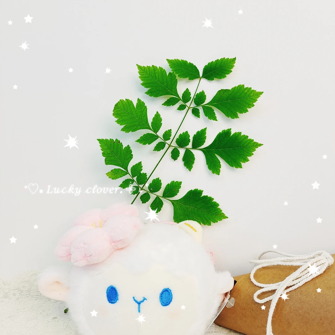 1个数字款毛绒精品玩偶挂件