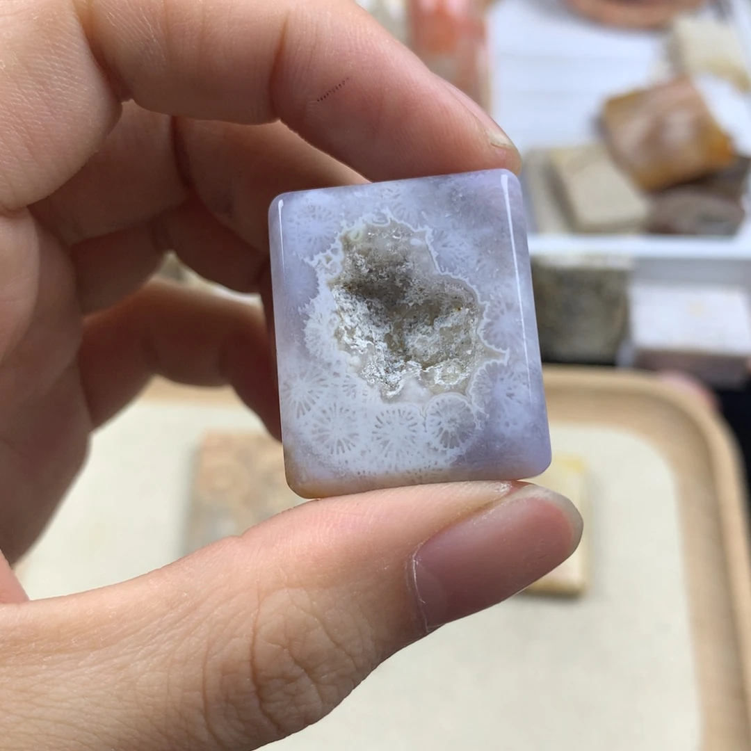 硅化珊瑚（珊瑚玉）无未镶嵌A***e