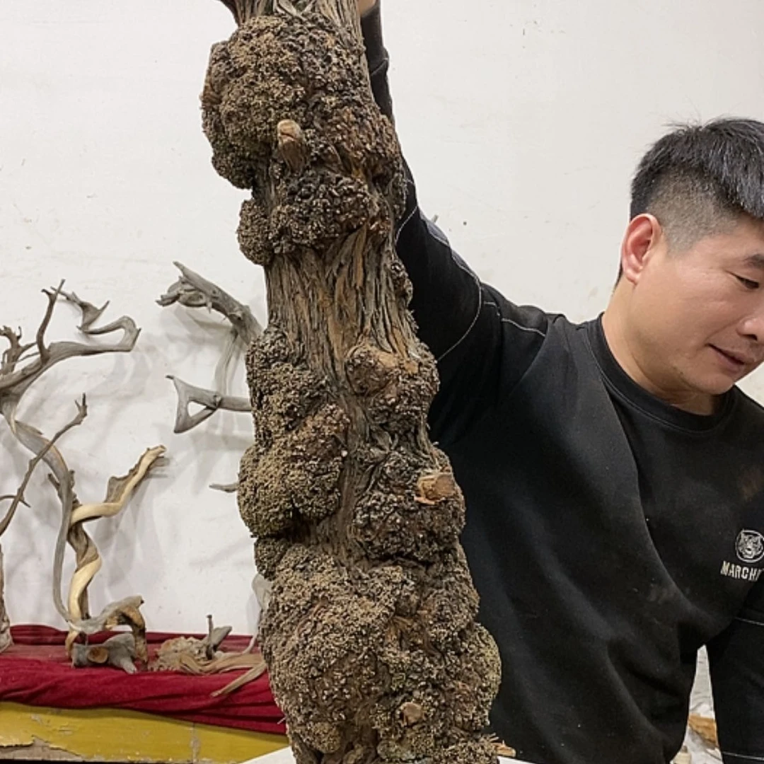 【闪购商品】柏木展****）我们的目标是成为更