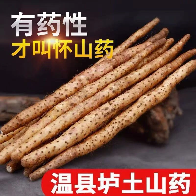 焦作温县2025年原产地新鲜垆土铁棍山药