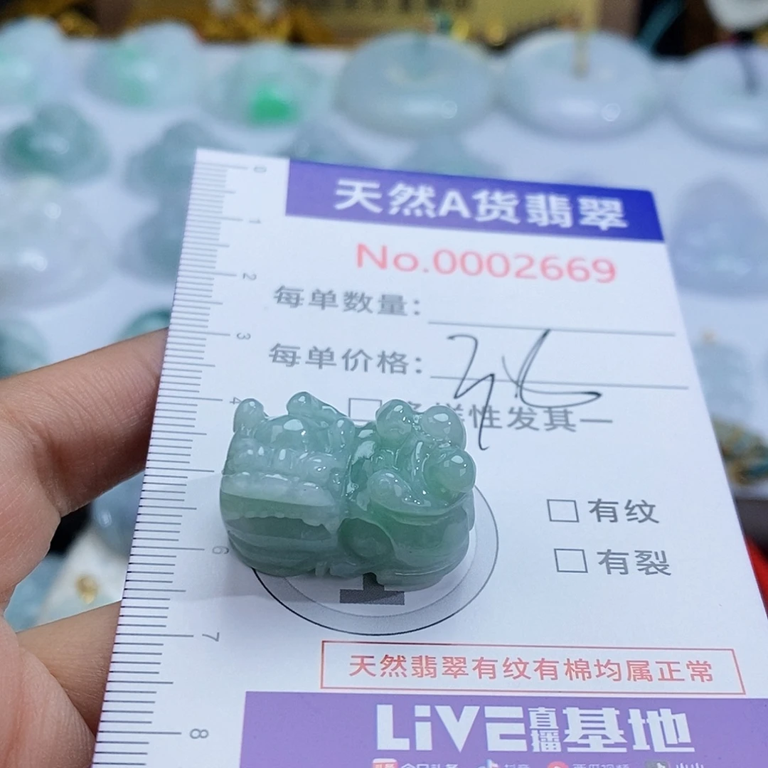 翡翠未镶嵌颈饰2669