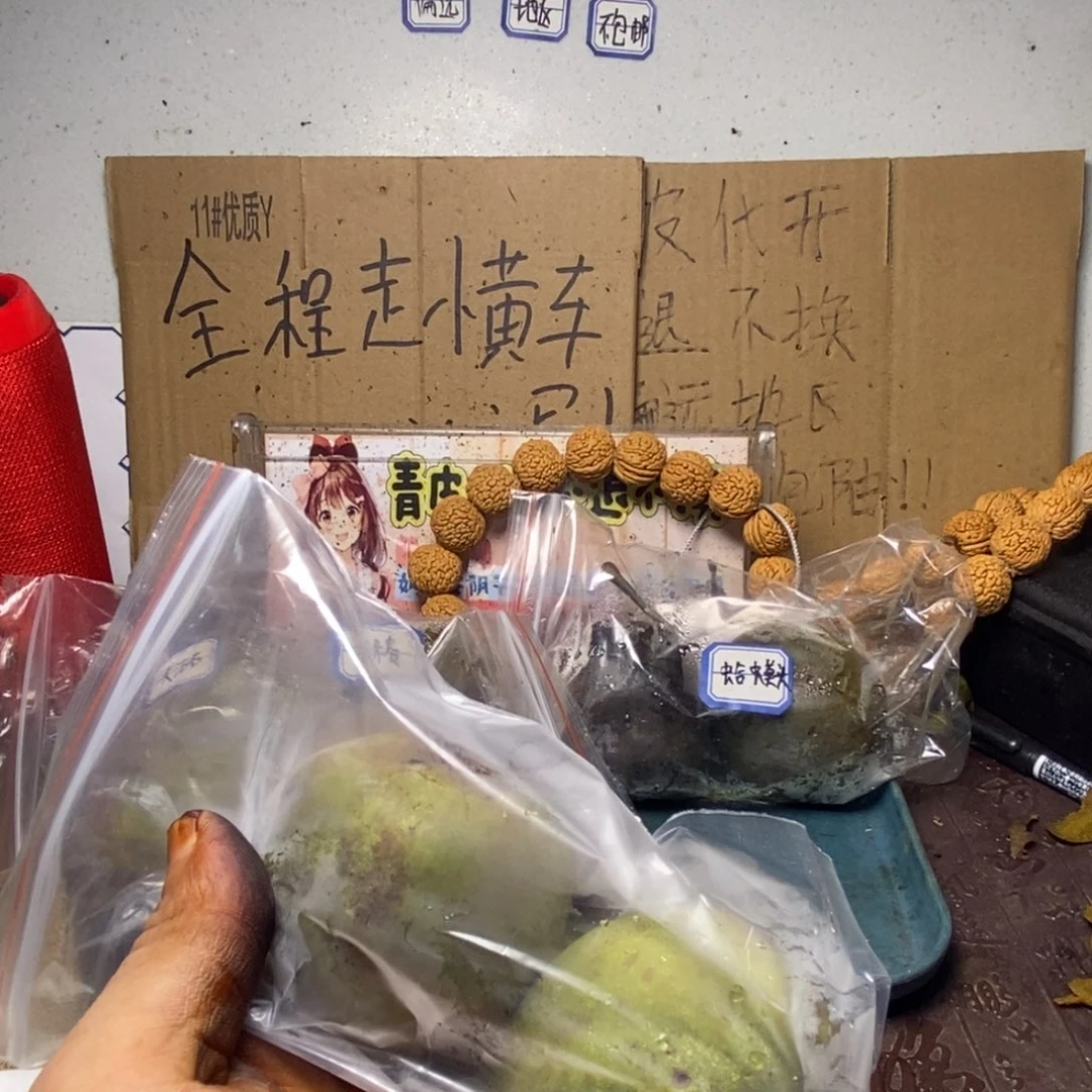 Zjc产地直发盘山20