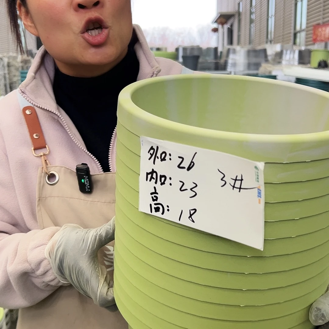 瑕疵球根盆3#果绿色5个无托