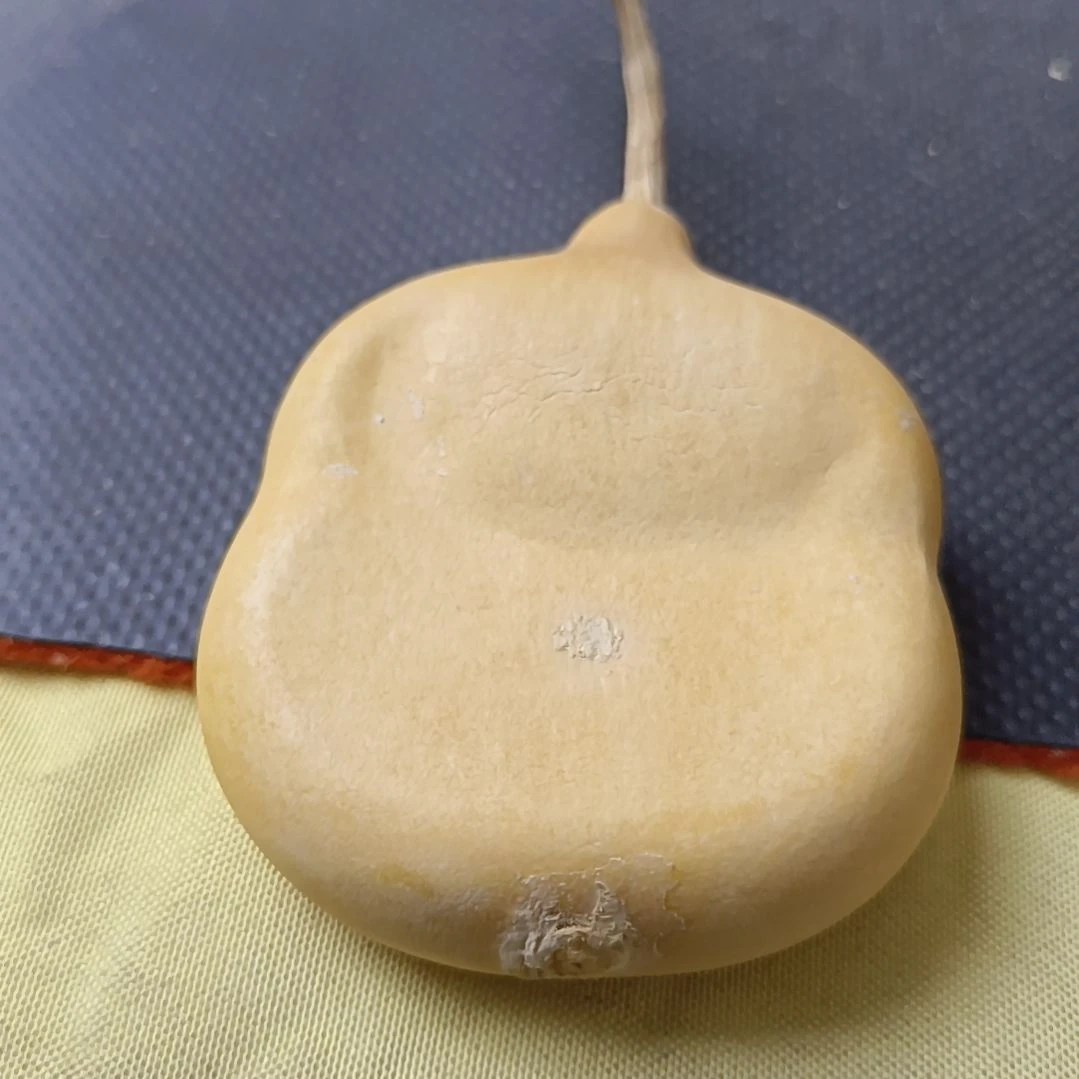 你****鱼抽抽葫芦夹板葫芦