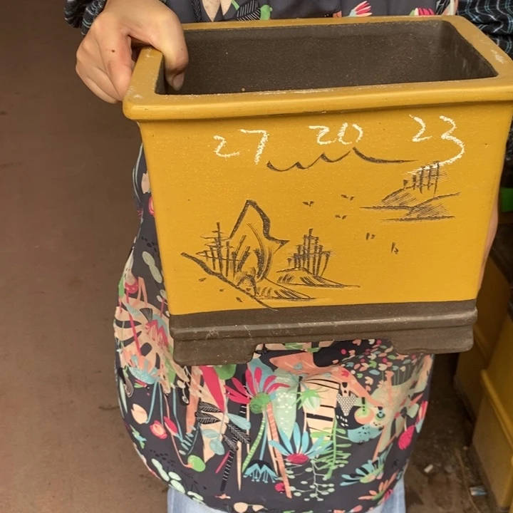 花盆紫砂自己家长的