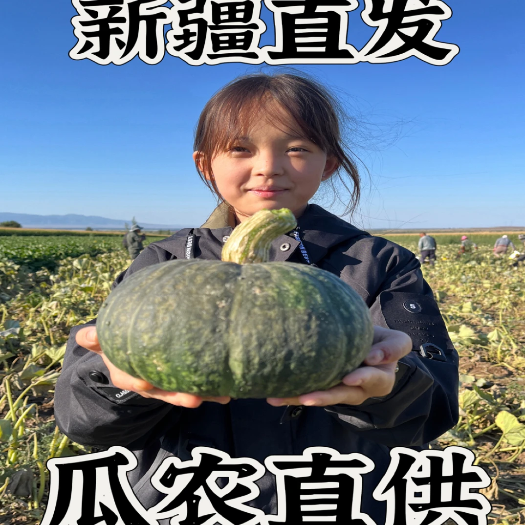 【1新疆碧玉南瓜】9斤实惠装爆粉爆甜板栗味口感新疆发货口感天花板