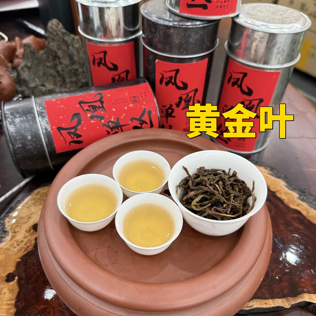 【黄金叶】欢择茶行凤凰单丛茶黄金叶腊季味金黄透亮回甘香到你惊