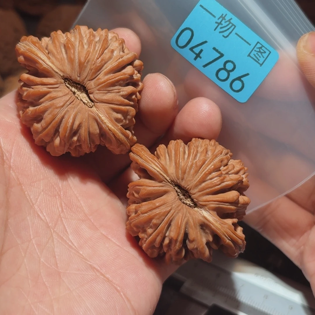 文玩核桃把件楼楼楼