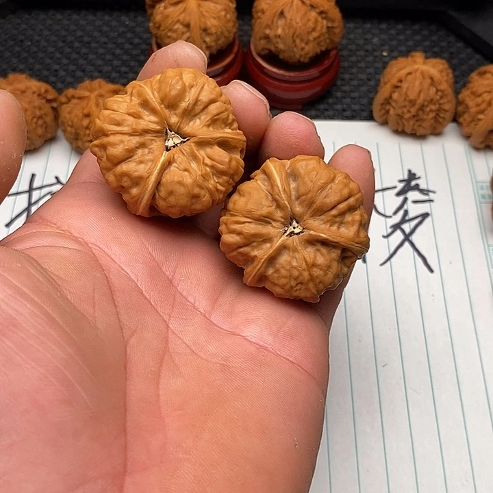 王***～手串/手链核桃蛤蟆6