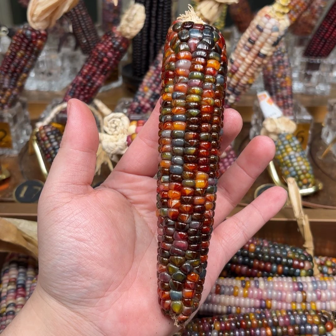 柏香籽/百香籽吊坠花***Y