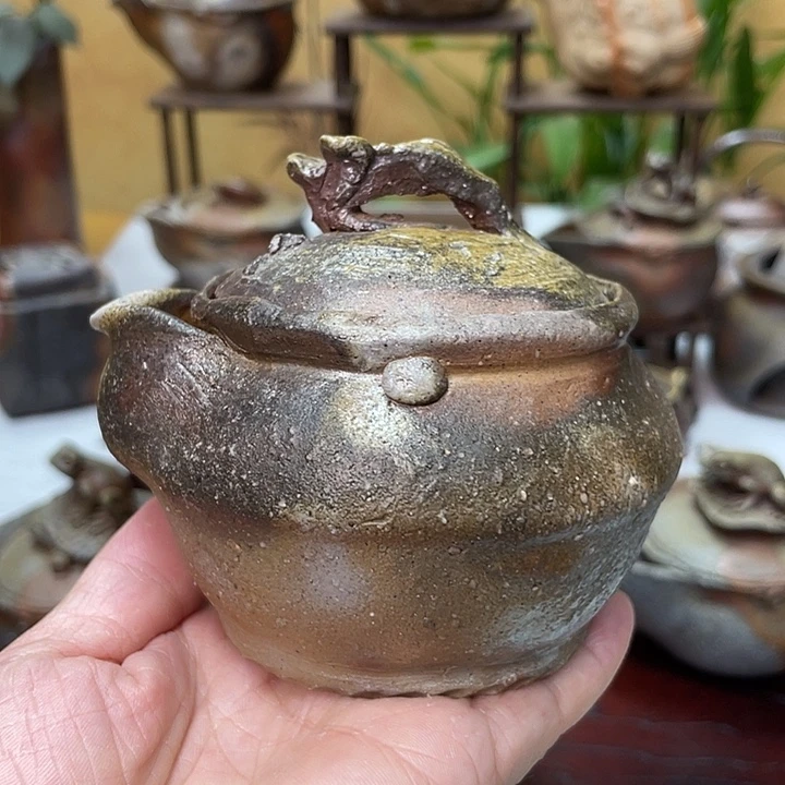 佐藤苔柱的宝瓶好