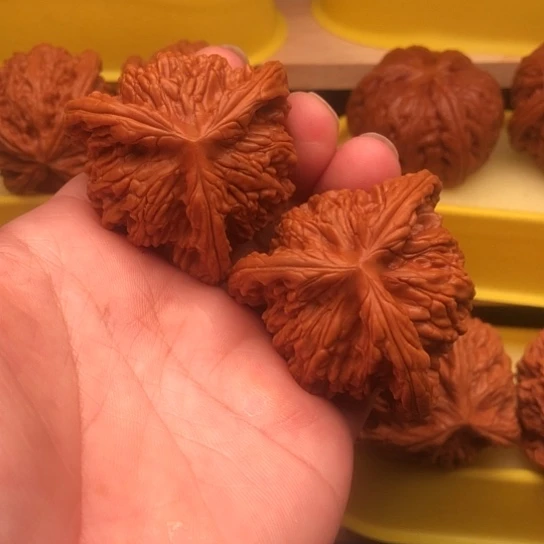 洪***飞核桃核桃核桃核桃核桃核桃